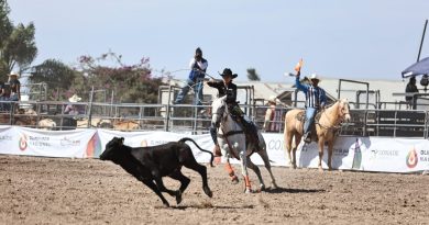 Chihuahua gana trofeo de segundo lugar nacional en rodeo