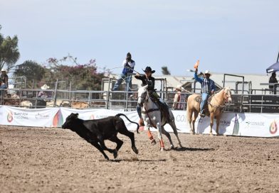 Chihuahua gana trofeo de segundo lugar nacional en rodeo